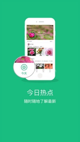 花帮主