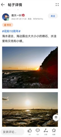 花粉俱乐部 第3张图