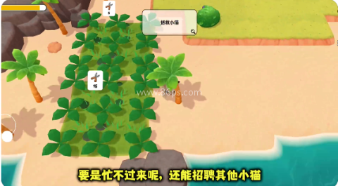 岛上有猫游戏