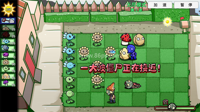 植物大战僵尸美丽小镇版