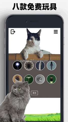 猫狗玩具模拟器