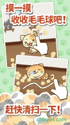 猫咪的毛手机版