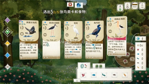 展翅翱翔桌游