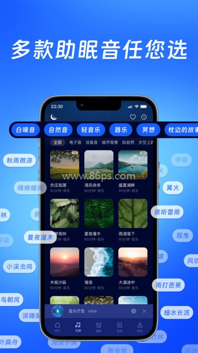 松鼠睡眠