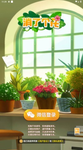 消了个花