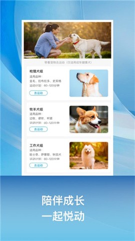 小兔乐跑 小兔乐跑