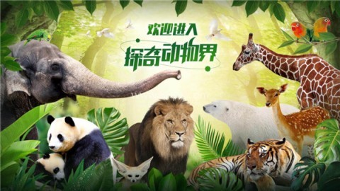 探奇动物界TV版