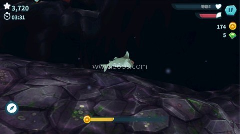 饥饿鲨进化超级变异鲨鱼版 第6张图