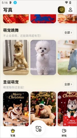 宠玩 第2张图