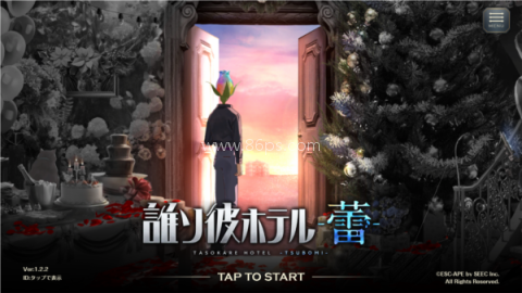 黄昏旅店蕾游戏 第1张图