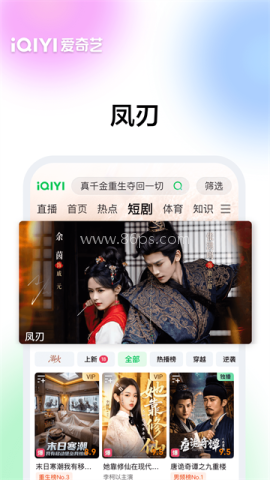 爱奇艺视频播放器