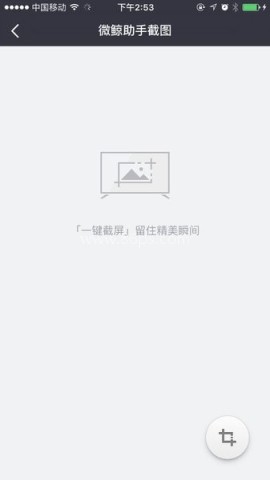 微鲸助手 第3张图