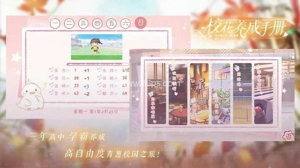 校花养成手册