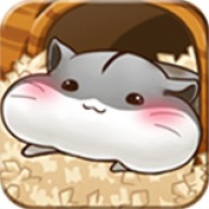 仓鼠生活