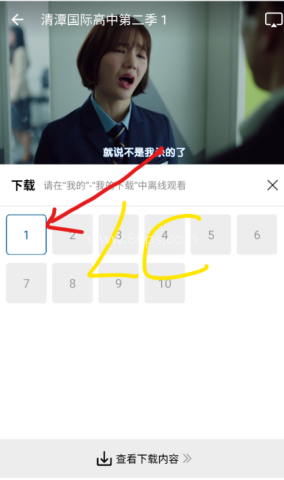 海狗视频 第2张图