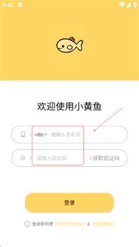 小黄鱼写作
