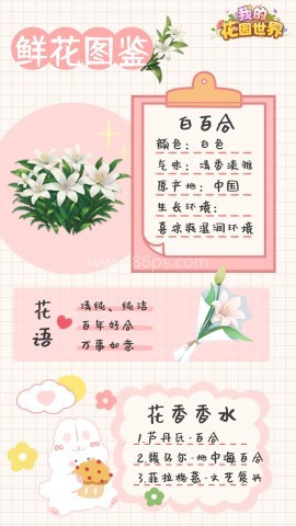 我的花园世界渠道服 第1张图