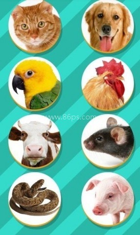 Pet translator 第2张图