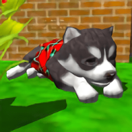 小狗养成模拟器3D（Cute Pocket Puppy 3D）