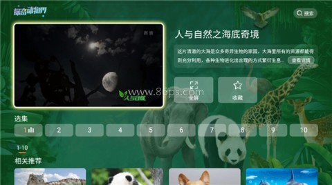 探奇动物界TV版