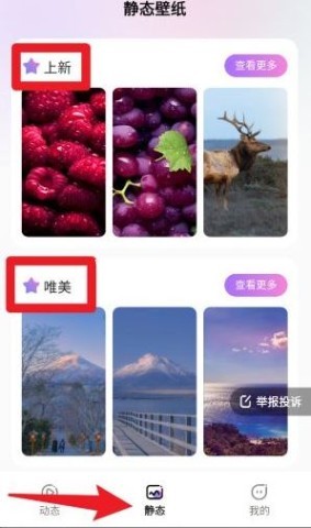 拇指壁纸 第3张图