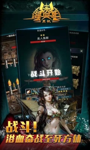 海盗王:黑帆