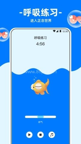 冥想金鱼