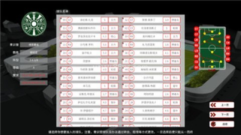 职业足球生涯