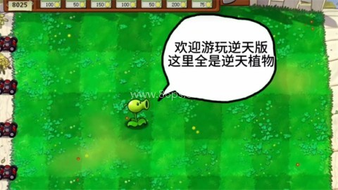 植物大战僵尸逆天版 植物大战僵尸逆天版