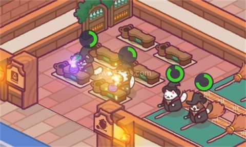猫咪魔法学校 猫咪魔法学校