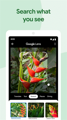 googlephotos
