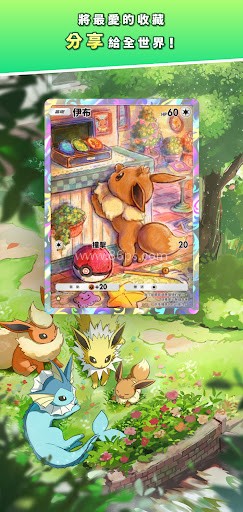 pokemonpocket