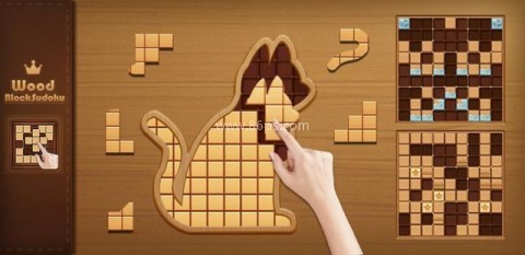 数独积木(Blockduku)