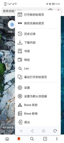 Brave浏览器 第5张图