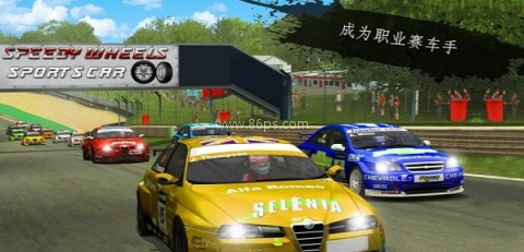 拉力赛狂怒3D 拉力赛狂怒3D
