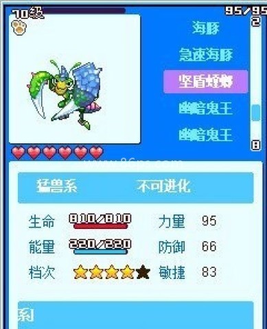 宠物王国5彩虹上帝版