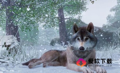 动物园之星豪华版