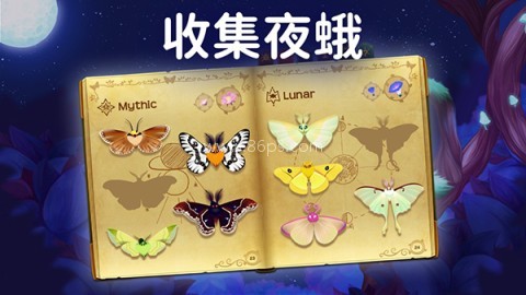 彩翼之星夜最新版