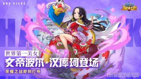 海贼王强者之路