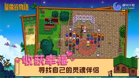 星露谷物语单机版 星露谷物语单机版