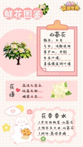 我的花园世界渠道服 第2张图