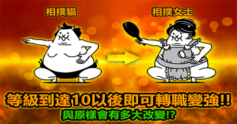 猫咪大战争全角色解锁版