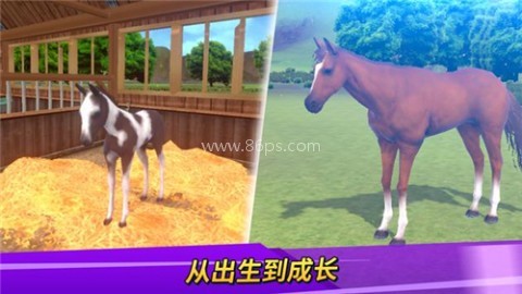 德比生活(Derby 德比生活(Derby
