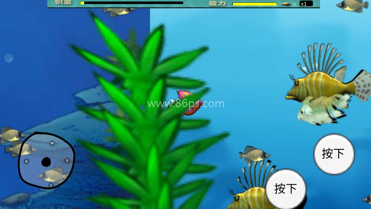 大鱼吃小鱼M木糖M