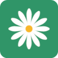 花帮主