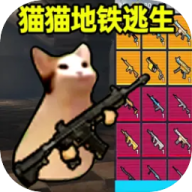 猫猫地铁逃生(MOD菜单)