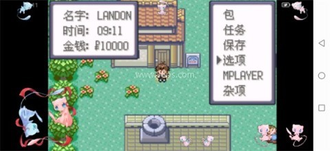 口袋妖怪格查尔半