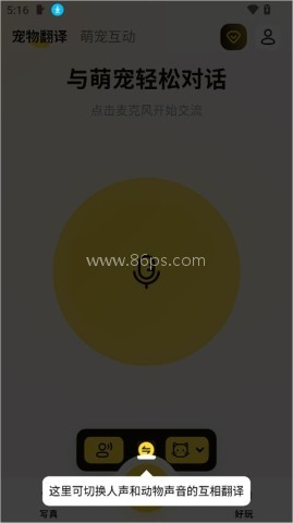 宠玩 第1张图