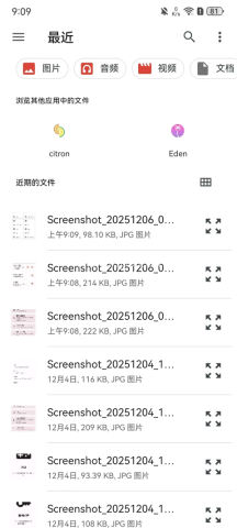 Citron柠檬模拟器 第3张图
