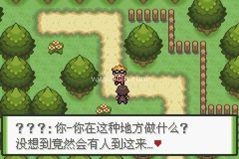 口袋妖怪釉色改版女神版
